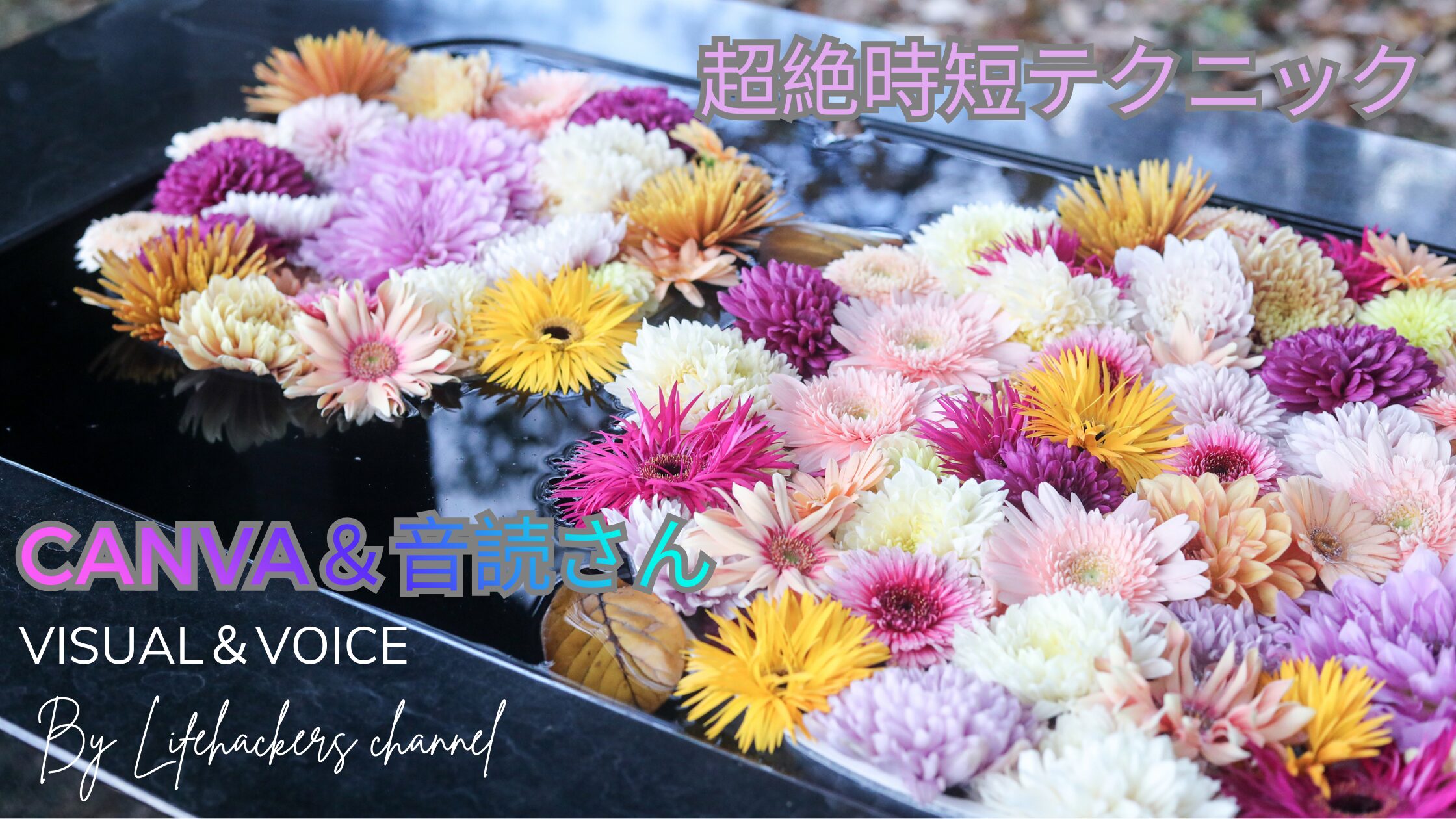 アイキャッチ画像。水の上にたくさんの花が浮かぶ写真の背景に「超絶時短テクニック」「CANVA＆音読さん」「VISUAL＆VOICE」「By Lifehackers channel」とテキストが埋め込まれている。